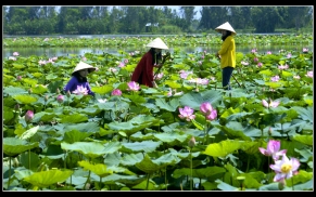 Kinh nghiệm đi du lịch An Giang