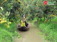 Tour Miền Tây: Tour đi 7 tỉnh Đồng Bằng Sông Cửu Long (4N3Đ) 2990000VNĐ