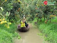 Tour Miền Tây: Tour đi 7 tỉnh Đồng Bằng Sông Cửu Long (4N3Đ) 2990000VNĐ