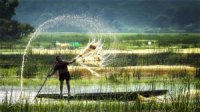 Tour Cần Thơ - Bạc Liêu 1990000VNĐ (3 ngày 2 đêm) - Giá rẻ nhất VN
