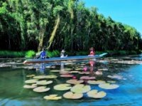 Tour Tiền Giang - Cần Thơ - Châu Đốc - Rừng Chàm Trà Sư (3N2Đ) 1790000VNĐ