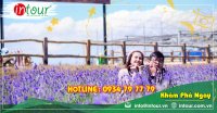 Tour giá rẻ Đà Lạt 1490000VNĐ (3 ngày 2 đêm) - Giá rẻ nhất VN