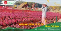 Tour Đồng Nai đi Nha Trang - Đà Lạt 2390000VNĐ (4N4Đ)