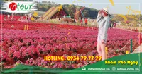 Tour Đồng Nai đi Nha Trang - Đà Lạt 2390000VNĐ (4N4Đ)