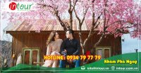 Tour giá rẻ Nha Trang - Đà Lạt (5 ngày 4 đêm) 2590000VNĐ