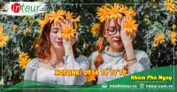 Tour Cần Thơ - Nha Trang - Đà Lạt 2650000VNĐ (04 ngày 04 đêm)