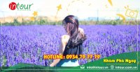 Tour Teambuilding - Gala Đà Lạt 2190000VNĐ (4 ngày 3 đêm) năm 2022 - Giá tốt nhất VN