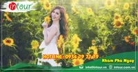 Tour Hà Nội - Nha trang - Đà Lạt 2650000VNĐ (4 ngày 3 đêm) 
