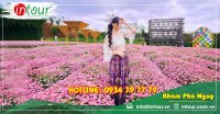 Tour Teambuilding Hà Nội - Đà Lạt (4 ngày 3 đêm) 2290000VNĐ