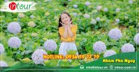 Tour Hà Nội - Đà Lạt 1990000VNĐ KS3*(3 ngày 2 đêm) năm 2022