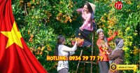 Tour lễ 30/4-1/5: Tour Miền Tây - Vĩnh Long 1 ngày 690000VNĐ/K