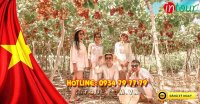 Tour Ninh Chữ - Bình Hưng Resort 3* 2790000VNĐ lễ 30/4 - 01/05 - Giá tốt nhất VN
