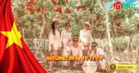 Tour Ninh Chữ - Bình Hưng Resort 3* 2790000VNĐ lễ 30/4 - 01/05 - Giá tốt nhất VN