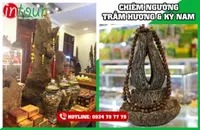 Tour Sài Gòn - Nha Trang 1590000VNĐ (3 ngày 3 đêm)- Giá rẻ nhất VN