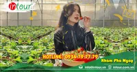 Tour Team Building Bình Phước đi Đà Lạt 1680000VNĐ (03 ngày 03 đêm)