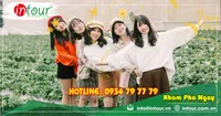 Tour giá rẻ Đà Lạt 1290000VNĐ (2 ngày 3 đêm) - Giá rẻ nhất VN