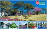 Du Lịch Tết 2023: Tour Đà Lạt (4 ngày 3 đêm) 2990000VNĐ - Mùng 2, 4, 6