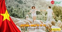 Tour lễ 30/4-1/5: Tour Bình Châu - Vũng Tàu KS 3* 1450000VNĐ (2N1Đ)  cho khách lẻ ghép đoàn