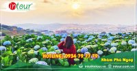 Tour cao cấp Đà Lạt KS 5*19980000VNĐ (3N2Đ) cho khách lẻ ghép đoàn khởi hành sáng thứ 3 & thứ 6 hàng tuần