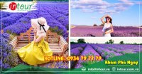Tour Festival hoa Đà Lạt (3 ngày 3 đêm)