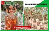Tour Teambuilding Hậu Giang đi Ninh Chữ - Vĩnh Hy 1850000 Đ (03 ngày 03 đêm)