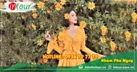 Tour Phan Thiết - Đà Lạt khởi hành từ Cần Thơ 2750000VNĐ/K (04 ngày 03 đêm)