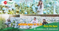 Tour Phan Thiết - Đà Lạt khởi hành Bạc Liêu 2890000VNĐ/K (04 ngày 04 đêm)