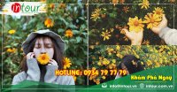 Tour Team Building  Đà Lạt khởi hành Long An 1650000VNĐ (03 ngày 03 đêm)