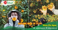 Tour Team Building  Đà Lạt khởi hành Long An 1650000VNĐ (03 ngày 03 đêm)