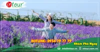 Tour Team Building Đà Lạt khởi hành từ Hà Tiên 1950000VNĐ (03 ngày 03 đêm)