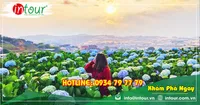 Tour Team Building Đà Lạt khởi hành từ Cần Thơ 1850000VNĐ (03 ngày 03 đêm)