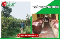 Tour Phú Quốc khởi hành từ Vĩnh Long bằng xe + Tàu 2480000VNĐ (03 ngày 03 đêm)   