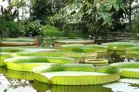 Tour Hải Phòng - Châu Đốc - Hà Tiên - Cần Thơ (04 ngày 03 đêm) - Giá rẻ nhất VN