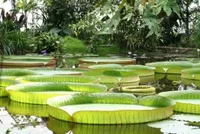 Tour Hải Phòng - Châu Đốc - Hà Tiên - Cần Thơ (04 ngày 03 đêm) - Giá rẻ nhất VN