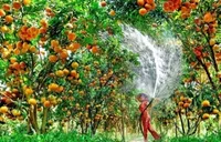 Tour giá rẻ Nghệ An (Vinh) - Miền Tây (4 ngày 3 đêm) - Giá tốt nhất VN