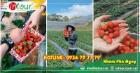 Tour Quảng Trị - Nha trang - Đà Lạt 2750000VNĐ (4 ngày 3 đêm) giá rẻ 