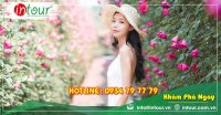 Tour Hải Phòng đi Nha trang - Đà Lạt 2590000VNĐ (4 ngày 3 đêm)