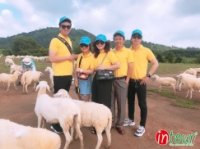 Tour Teambuilding Cao Bằng - Bình Châu- Vũng Tàu 1490000VNĐ (3 ngày 2 đêm) giá rẻ nhất VN