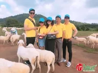 Tour Teambuilding Cao Bằng - Bình Châu- Vũng Tàu 1490000VNĐ (3 ngày 2 đêm) giá rẻ nhất VN