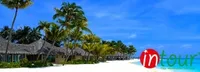 Tour Vĩnh Phúc - Đà Nẵng - Hội An - Bà Nà - Huế - Phong Nha 3390000VNĐ (4 ngày 3 đêm)