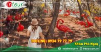 Tour giá rẻ Thái Nguyên - Đà Lạt 1680000VNĐ (3 ngày 2 đêm)