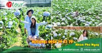 Tour giá rẻ Sơn La - Đà Lạt 1680000VNĐ (3 ngày 2 đêm)