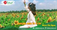 Tour Ninh Bình - Nha Trang - Đà Lạt 2750000VNĐ (4 ngày 3 đêm) 