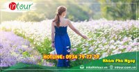 Tour giá rẻ Đà Nẵng - Đà Lạt 1680000VNĐ (3 ngày 2 đêm) 