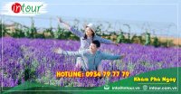 Tour giá rẻ Huế - Đà Lạt 1680000VNĐ (3 ngày 2 đêm) 
