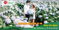 Tour giá rẻ Hà Tĩnh - Đà Lạt 1750000VNĐ (3 ngày 2 đêm)