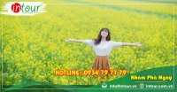 Tour giá rẻ Nghệ An (Vinh) - Đà Lạt 1750000VNĐ (3 ngày 2 đêm) 