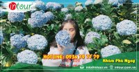 Tour giá rẻ Hải Dương - Đà Lạt 1680000VNĐ (3 ngày 2 đêm) 