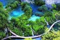 Tour Miền Trung: Tour Đà Nẵng - Rừng Quốc Gia Bạch Mã (1 ngày) 740000VNĐ