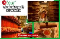 Tour Phú Quốc 2490000VNĐ (03 ngày 02 đêm) khởi hành từ Trà Vinh